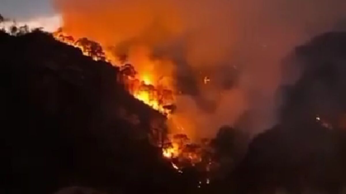 Foto: Cortesía Gobierno de Morelos busca sanciones por incendio en Tepoztlán