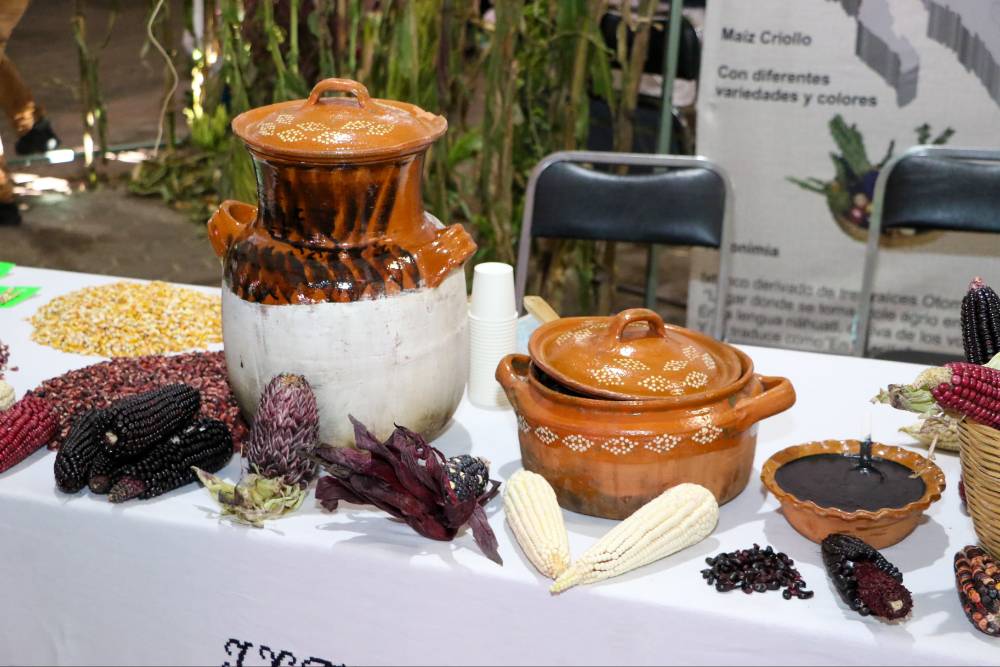 Foto: Cortesía Celebra el Día de la Cocina Tlaxcalteca: Jornada Gastronómica y Cultural