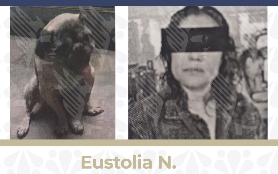 Foto: Cortesía Mujer es vinculada a proceso por maltrato animal en Puebla