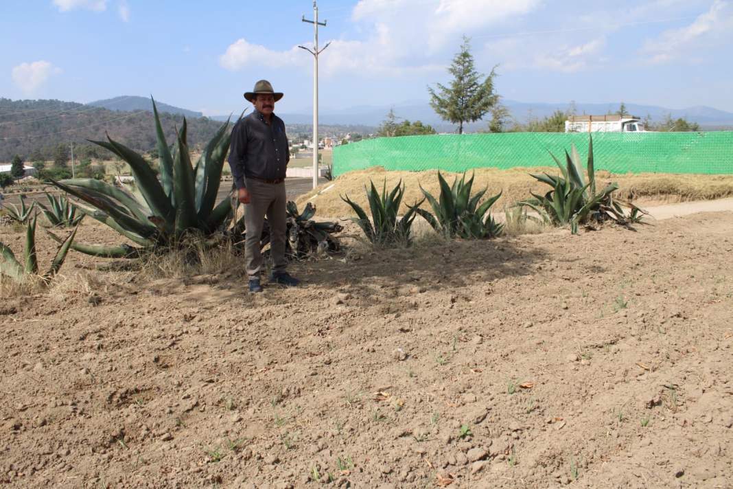 Foto: Cortesía  Fomtlax supera meta de créditos para agricultores tlaxcaltecas en 2025