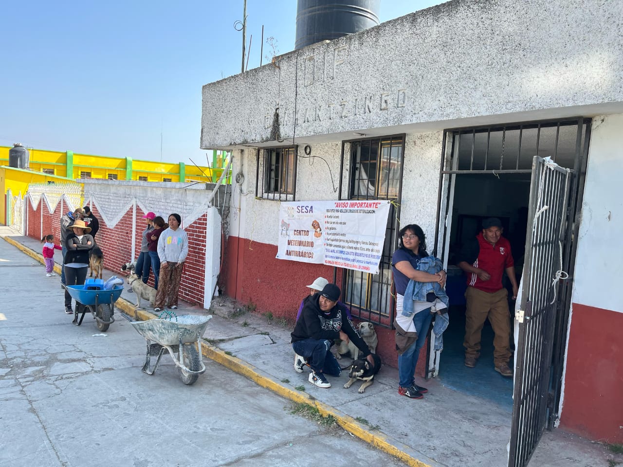 Foto: Cortesía Cirugías gratuitas de esterilización animal en Tlaxcala: 500 procedimientos realizados