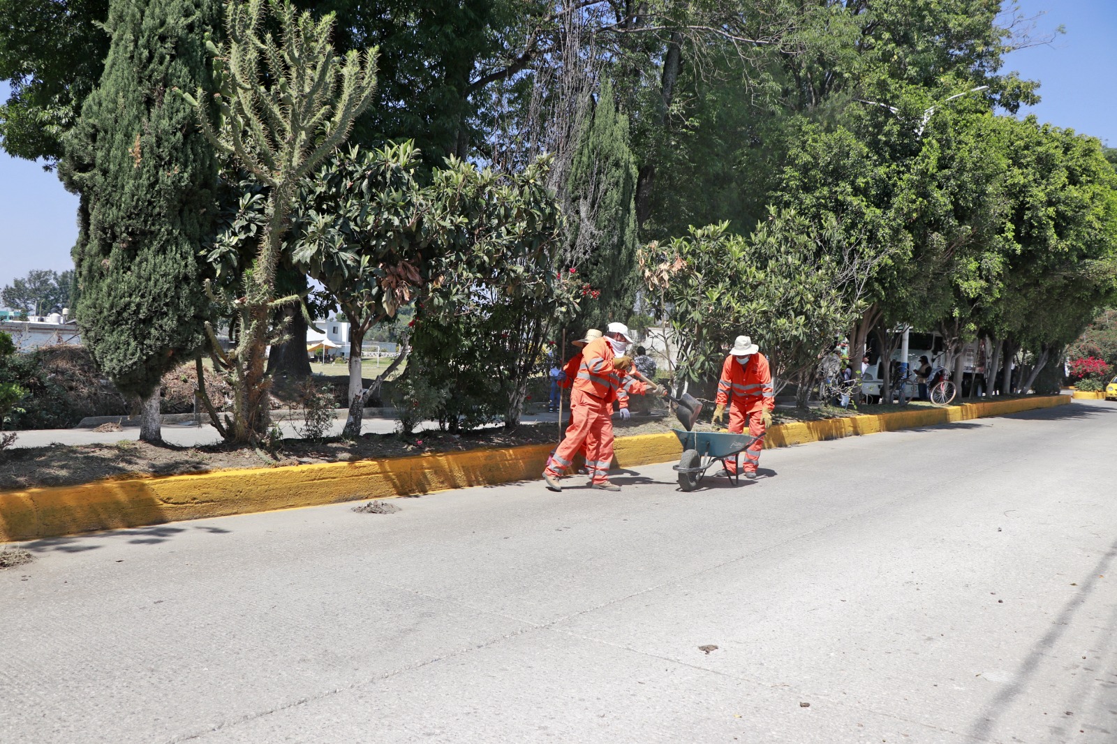 jornada de atención ciudadana sanctorum 5