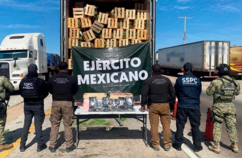 Foto: Cortesía Decomisan 32 kg de fentanilo ocultos en tráiler con nopales en Sonora
