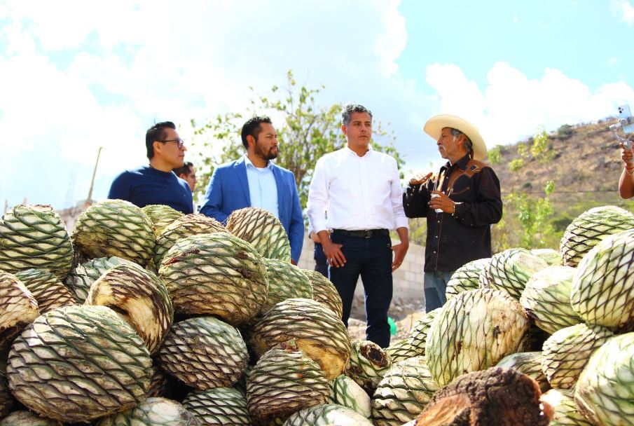 Foto: Cortesía Apoyan a productores de mezcal en San José el Aguacate