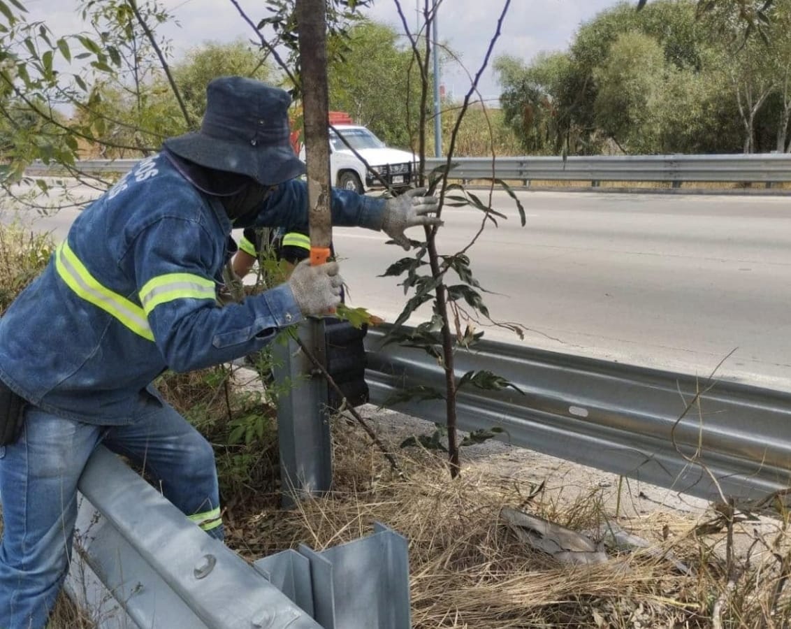 Por: Cortesía Lula Pineda Mantienen limpieza y previenen incendios en la Recta a Cholula