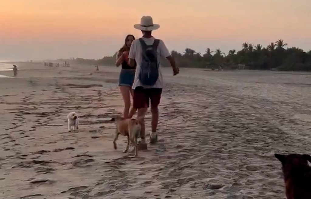 Foto: Cortesía Extranjera agrede a perro y a hombre en playa de Oaxaca