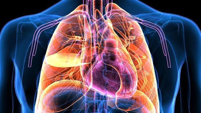 IMSS Tlaxcala alerta: protégete de enfermedades respiratorias