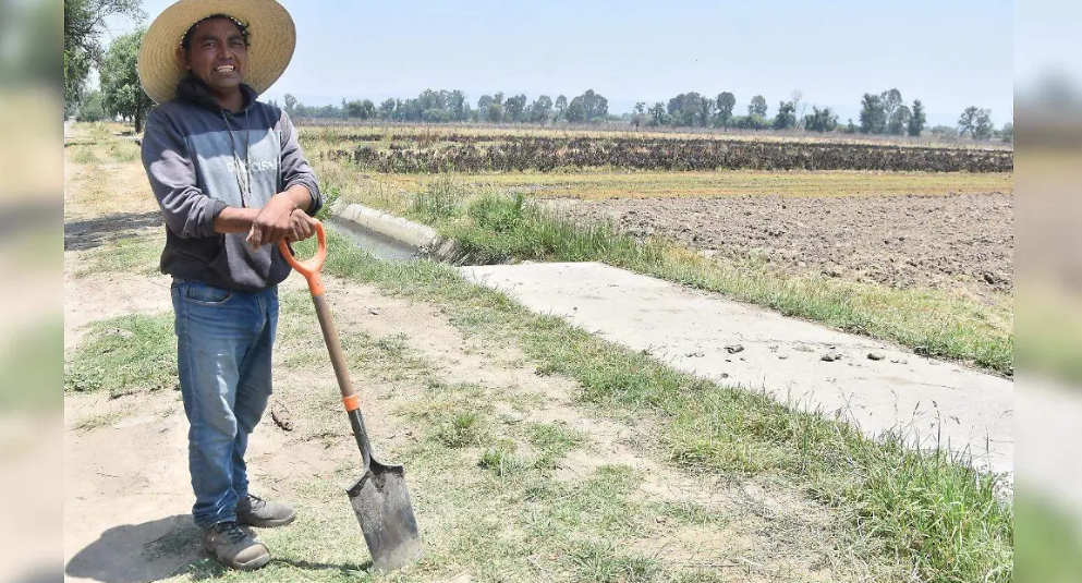 Tlaxcala destina 35 millones para productores afectados por heladas