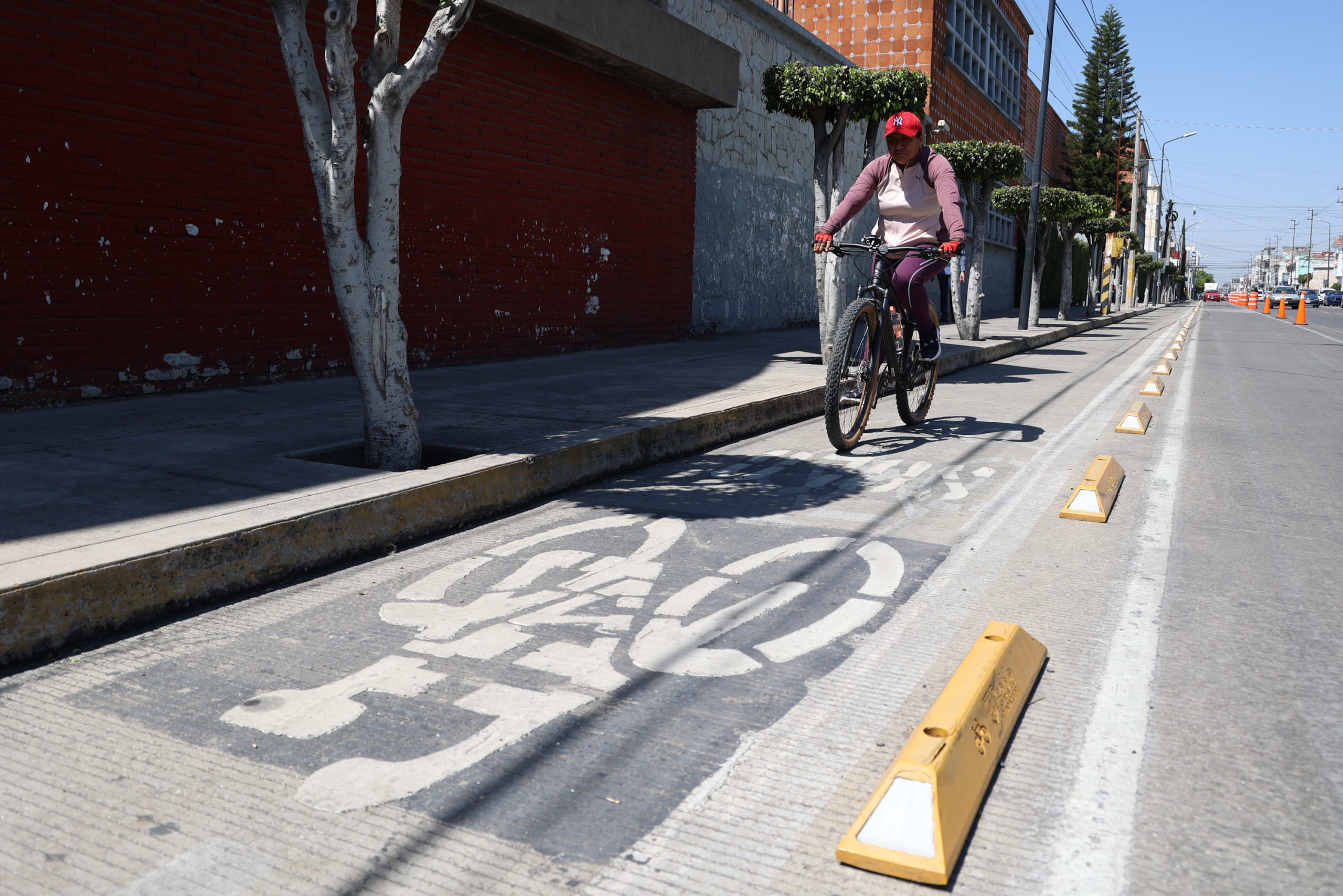 Foto: Cortesía Ampliación de ciclovías será consultada con la ciudadanía: José Chedraui