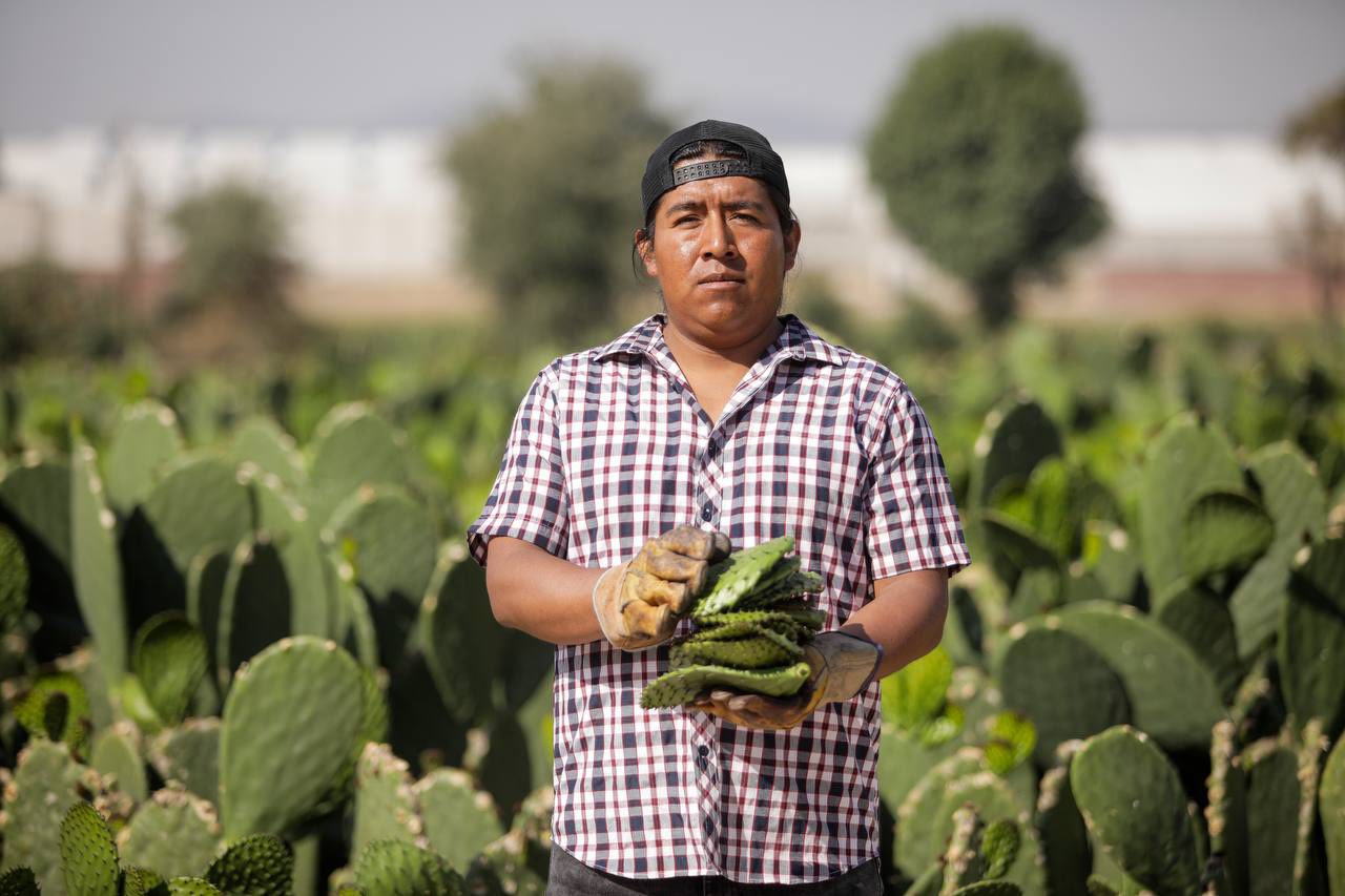 feria del nopal tlaxcalancingo 3