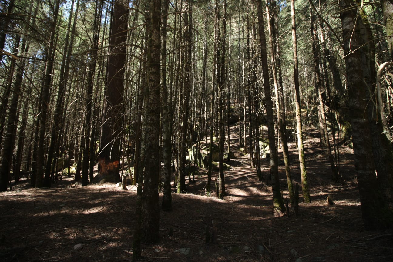 Primer Encuentro Nacional de Autoridades Ambientales impulsa política ecológica estratégica