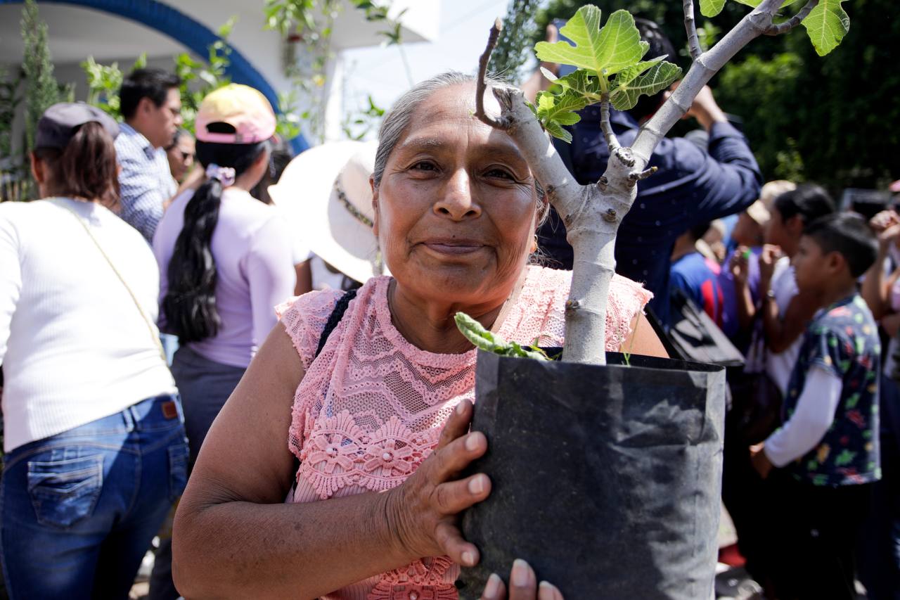 Encabeza Guadalupe Cuautle jornada “Adopta un Árbol” en San Antonio Cacalotepec
