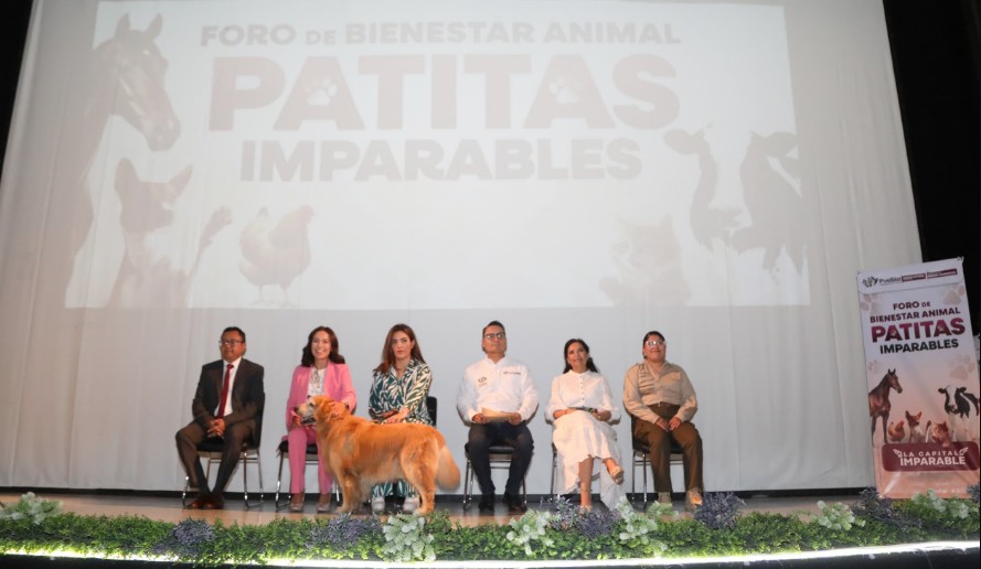 Foto: Cortesía Puebla refuerza el bienestar animal con el foro “Patitas Imparables”