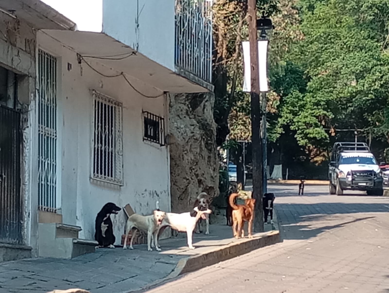 Tlaxcala enfrenta abandono: calles sucias, baches e inseguridad