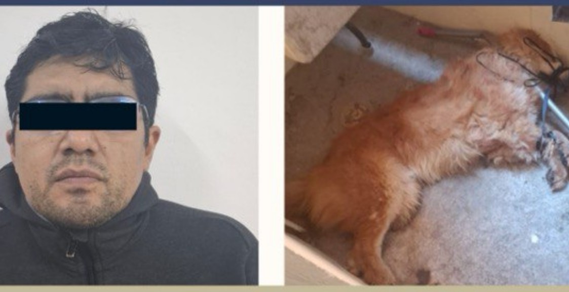Foto: Cortesía Prisión preventiva por crueldad animal en Puebla