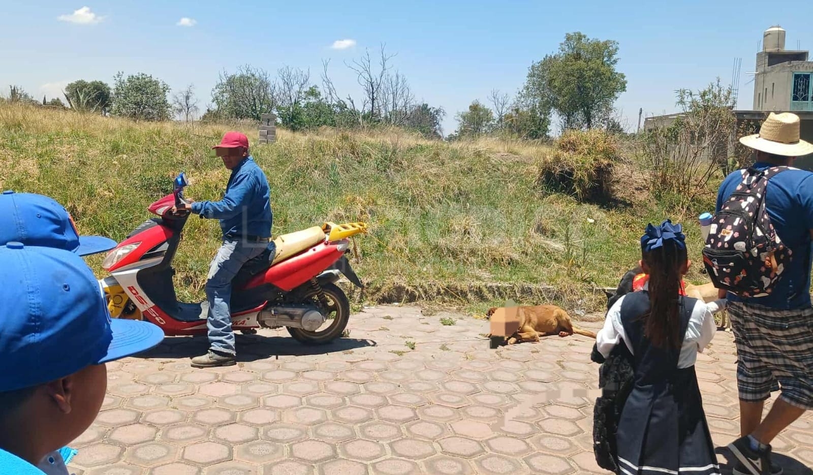 Ciudadanos salvan a perro arrastrado por su dueño en Tlaxcala