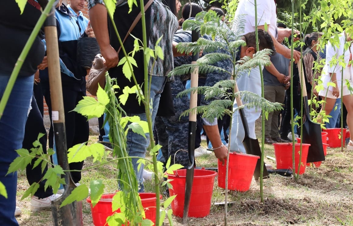 Comunicado oficial Con jornada de reforestación, Armando Aguirre impulsa desarrollo sustentable en Coronango