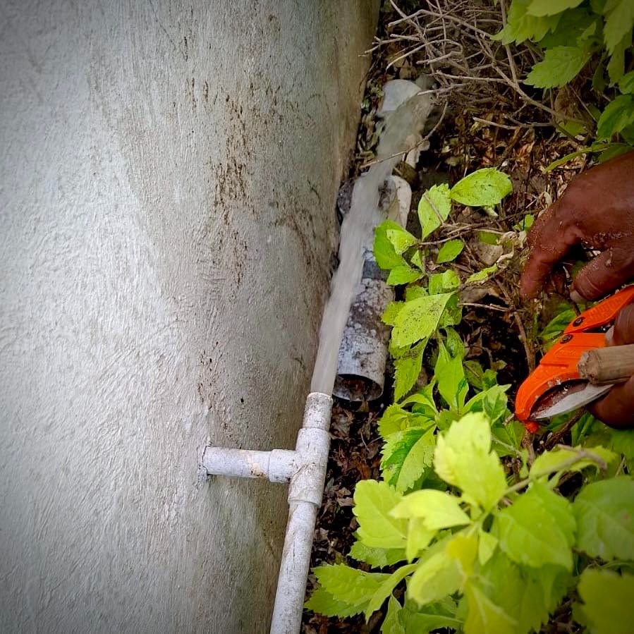 sosapach sanea 200 problemas viviendas 3