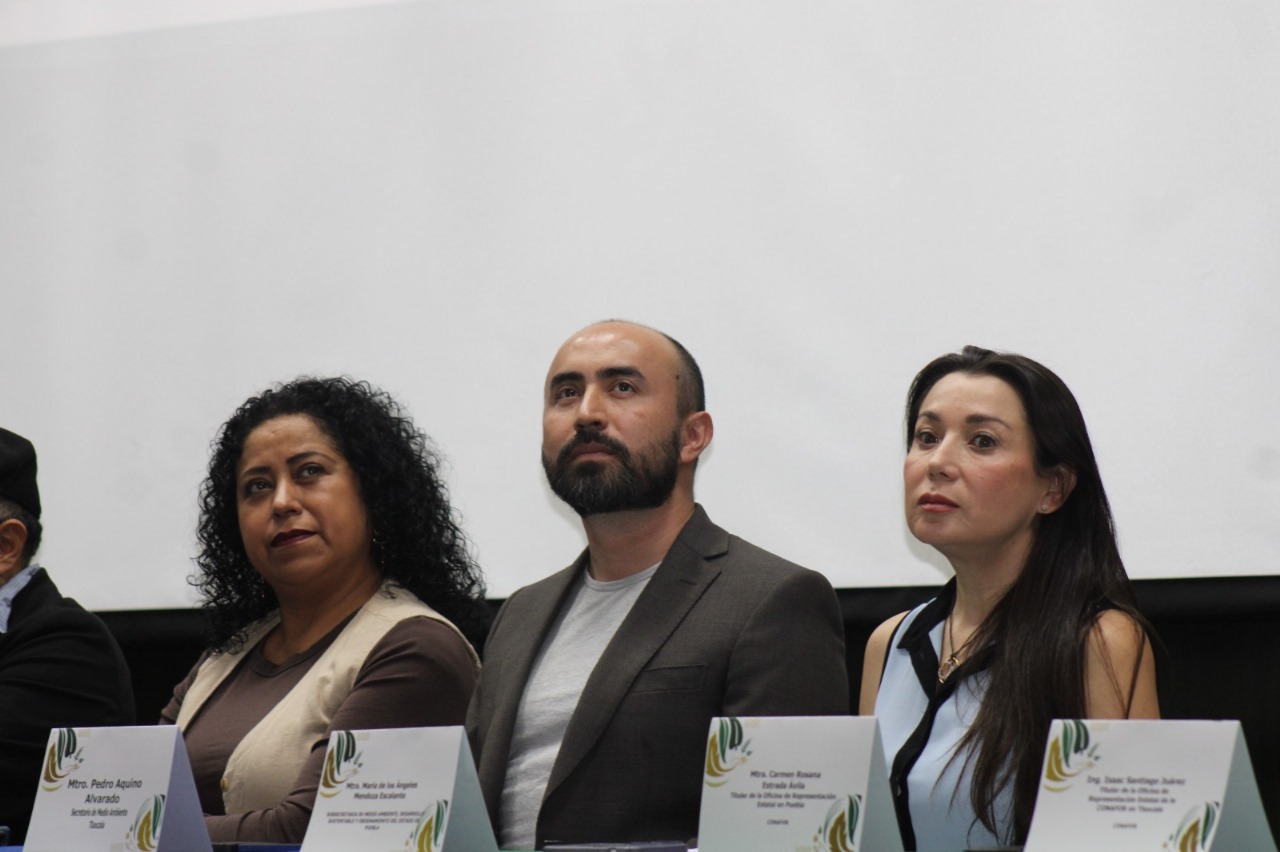 Participa en el Programa Nacional Forestal 2025-2030 para proteger los bosques de México