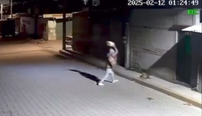 Foto: Cortesía Perro agredido en Miahuatlán será homenajeado en la Feria de Puebla