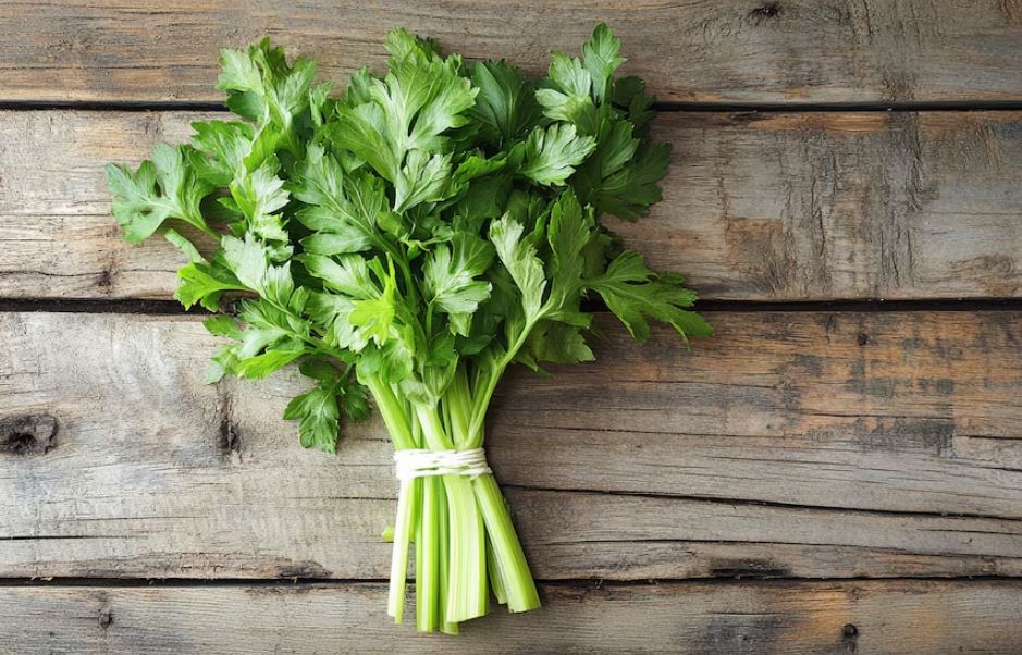Foto: Cortesía Apio: un vegetal ideal para perder peso de forma natural