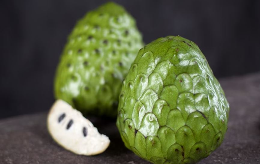 Foto: Cortesía Chirimoya: la fruta tropical olvidada en México con grandes beneficios