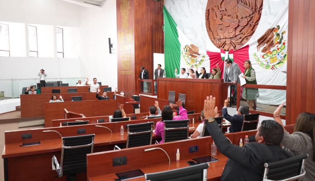 Foto: Cortesía Urgente exhorto del OCPA para mejorar la protección animal en Tlaxcala