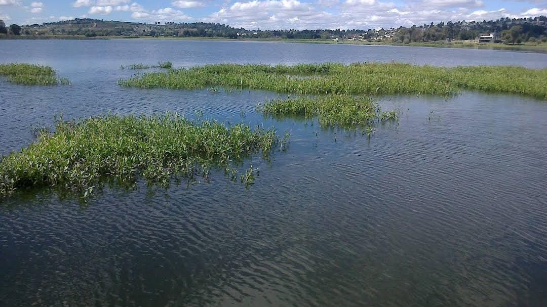 Impulsan la laguna de Acuitlapilco como nuevo destino turístico
