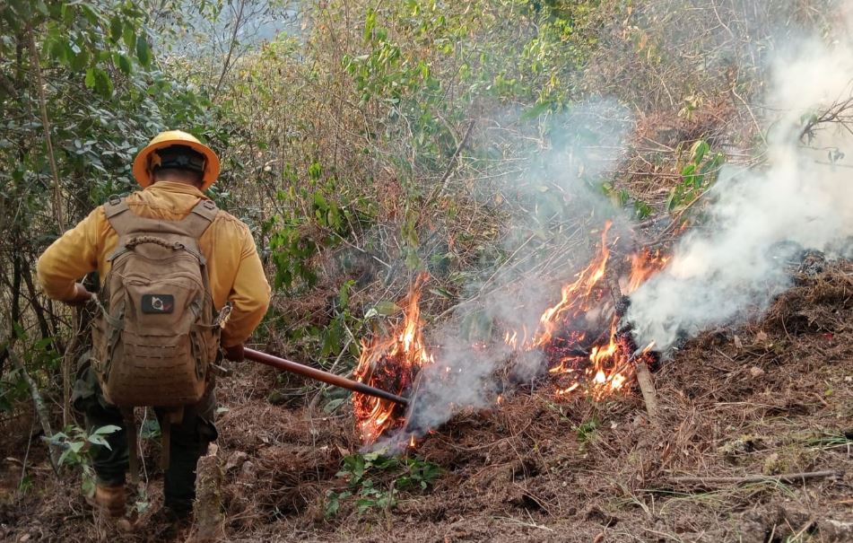 Foto: Cortesía Reducción histórica de incendios forestales en Puebla