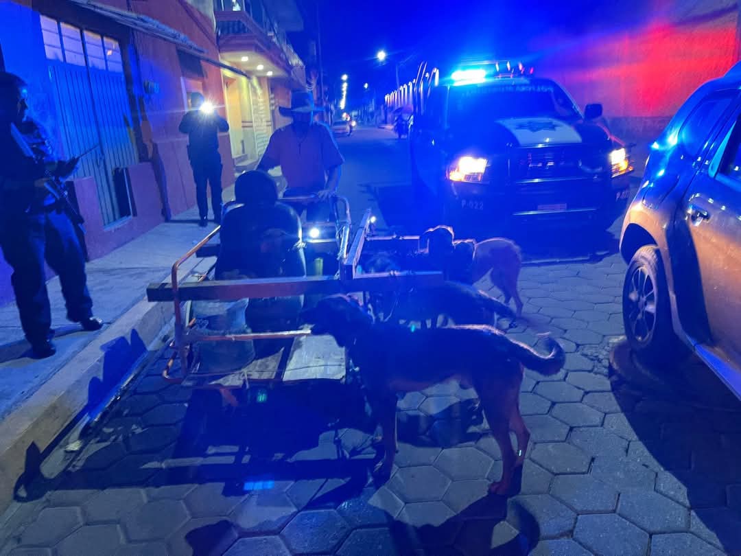 Por: Cortesía Lula Pineda Rescatan a 7 caninos en Cholula tras operativo conjunto entre autoridades estatales y municipales