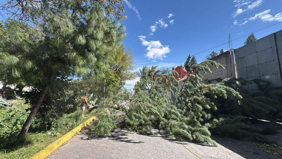 Vientos fuertes y heladas golpean Tlaxcala: ¡Protección Civil alerta!