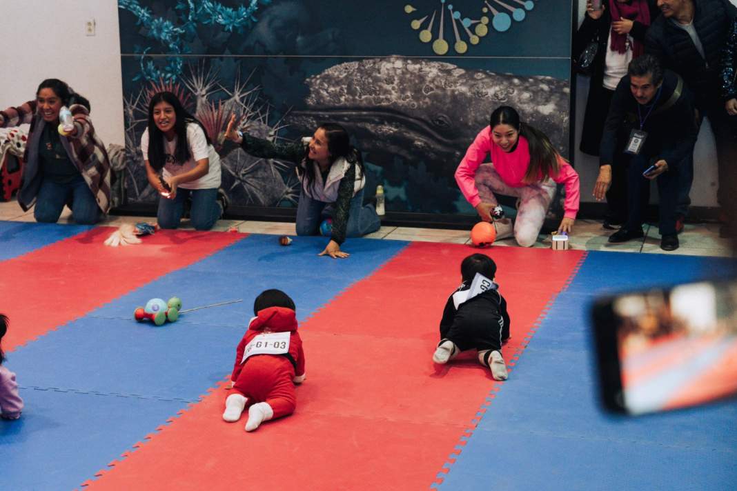 ¡Bebés a toda velocidad! Tlaxcala se derrite con su Concurso de Gateo