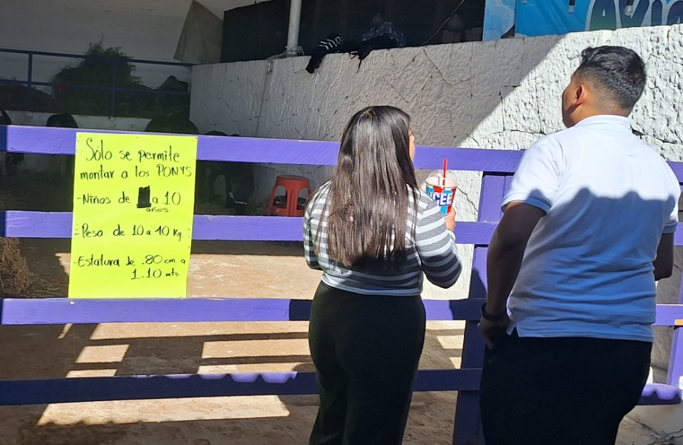 Pide OCPA medidas preventivas contra maltrato animal en la Feria de Tlaxcala