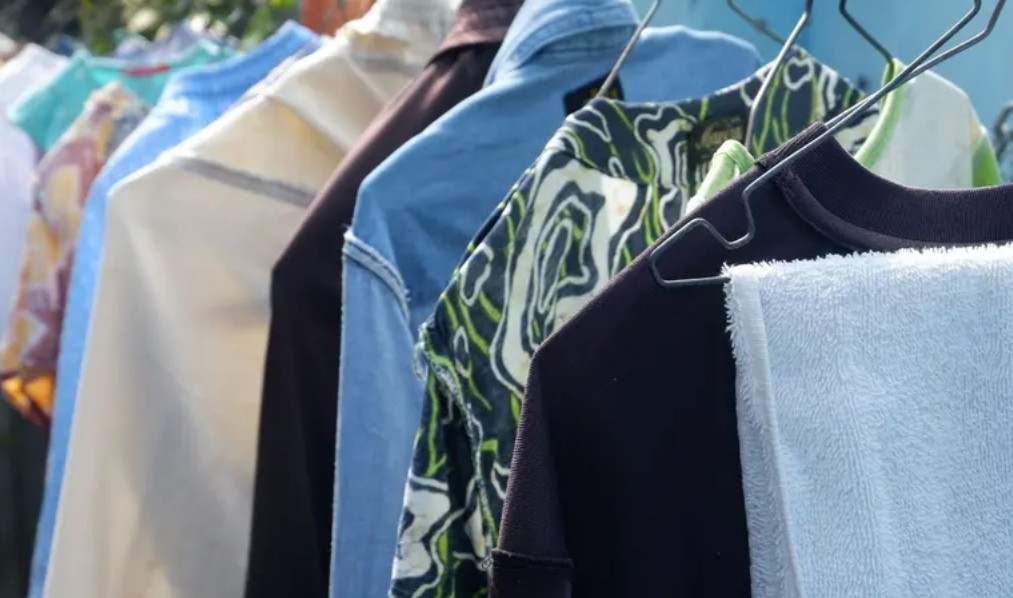 Por qué aparece ese olor a humedad tan molesto