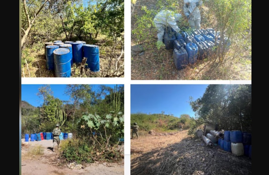 Operativo masivo revela laboratorios clandestinos