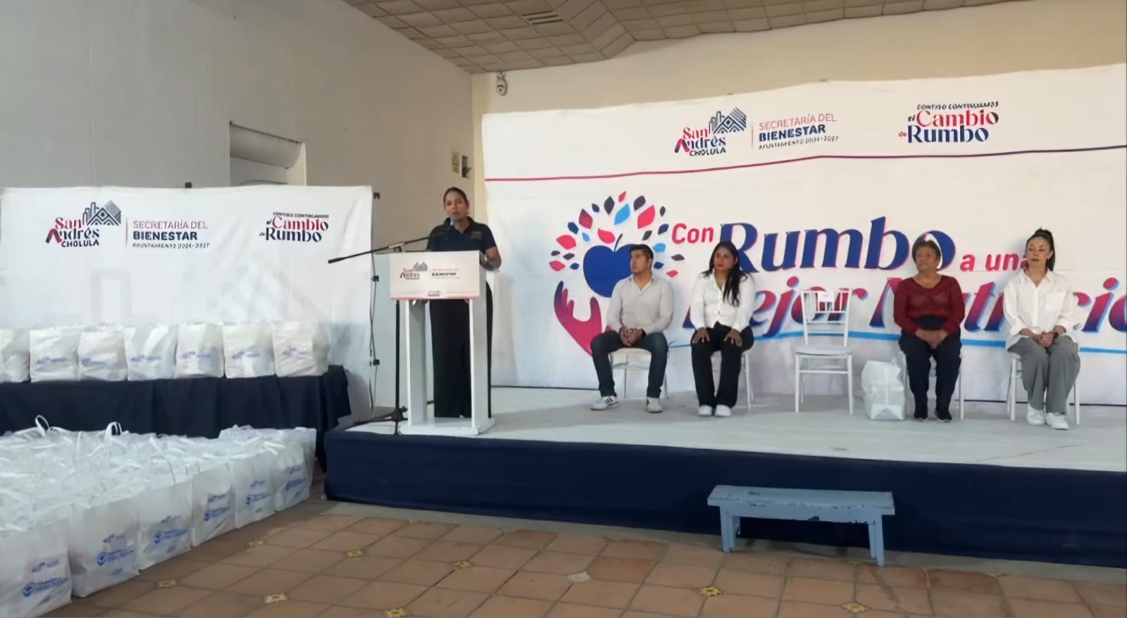 379 despensas sach 3