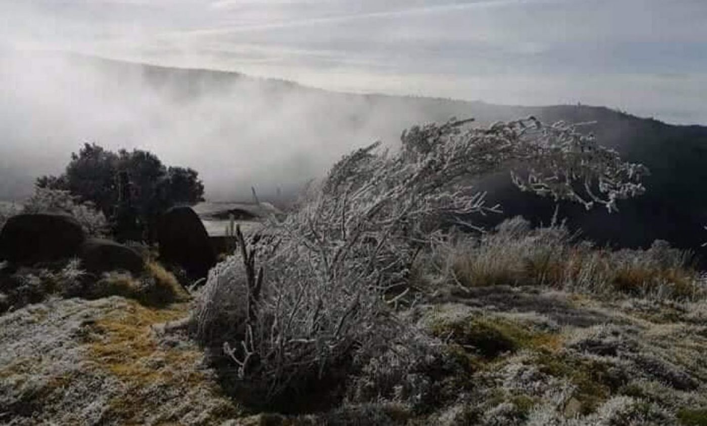Frente frío congela Tlaxcala: amaneceres de hasta –5°C estremecen al estado