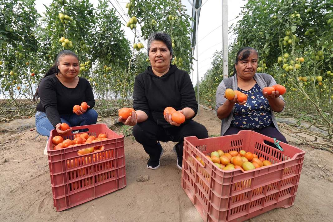 Tlaxcala rompe récord con millonario impulso a mujeres rurales del estado