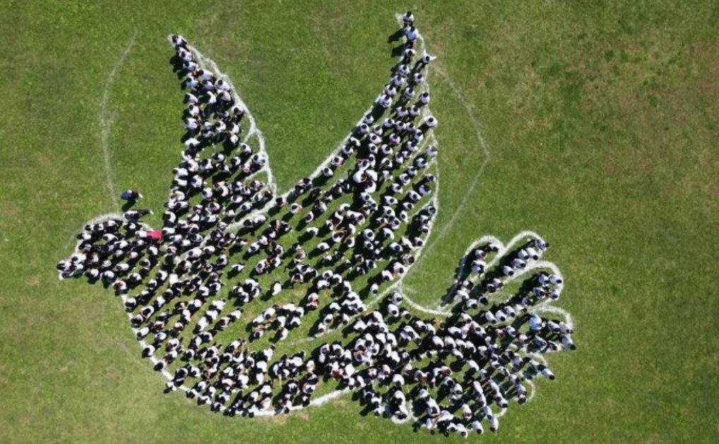 Un país unido en colores, ideas y esperanza