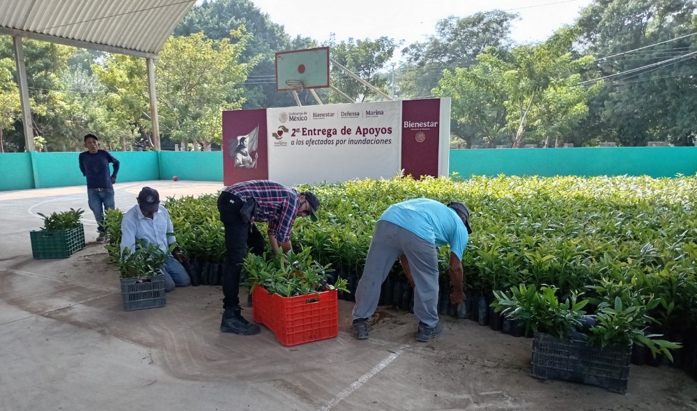 Las raíces del proyecto: una apuesta verde a lo grande
