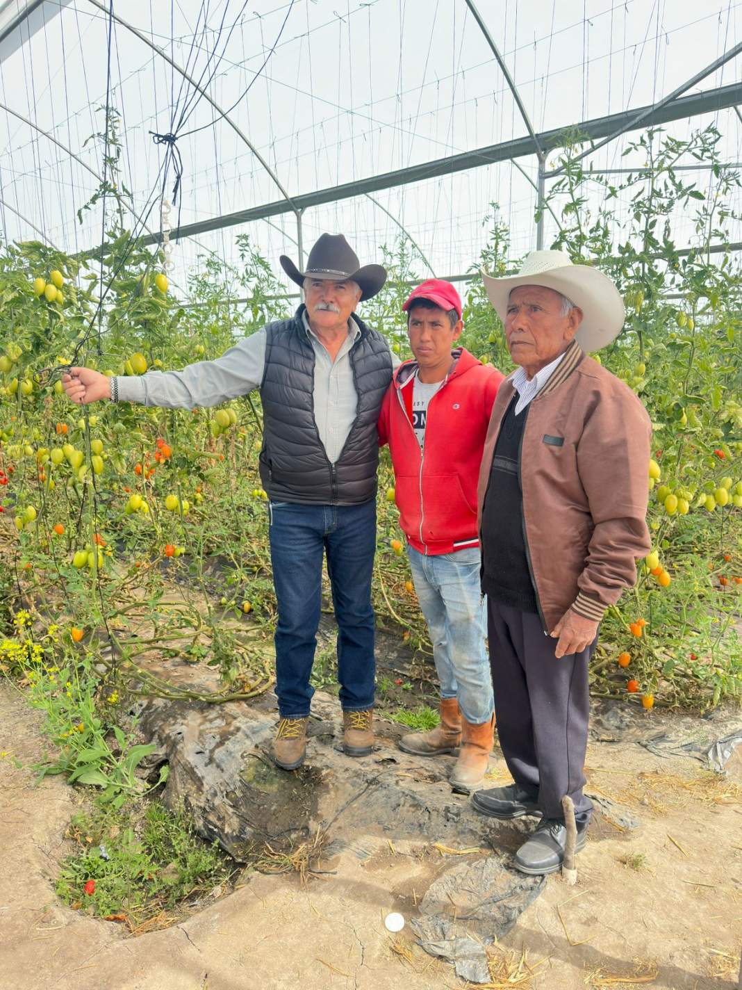 Productores de Tlaxcala recibirán impulso histórico con subsidio 2026