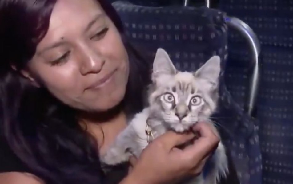 La historia que conmovió a Puebla