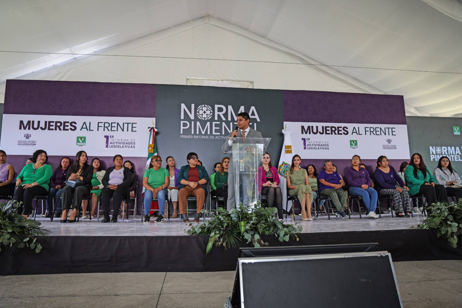 informe de norma pimentel 3