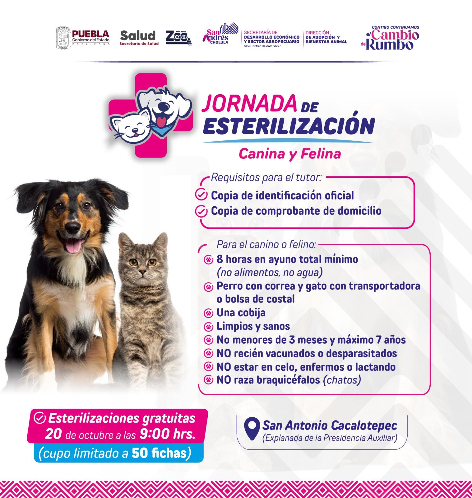 jornada esterilización cacalotepec 1