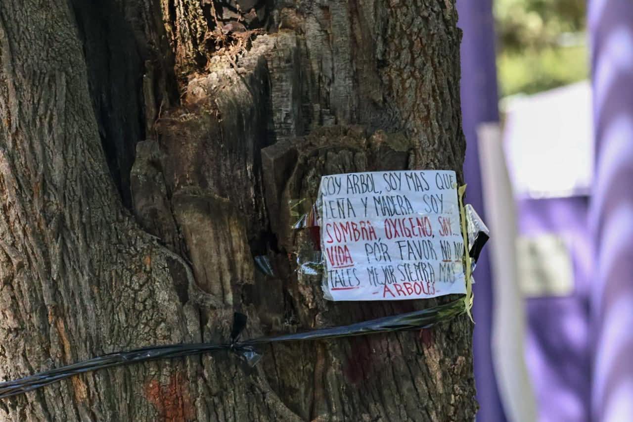 Convocan a marcha contra ecocidio en Parque de la Juventud