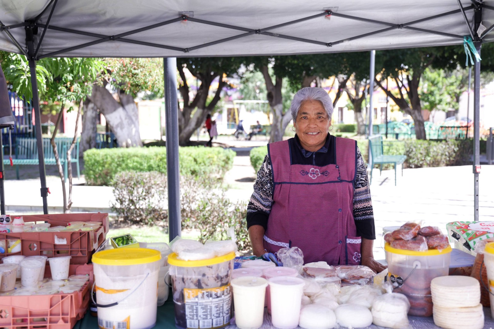 feria nacional de empleo sach 5