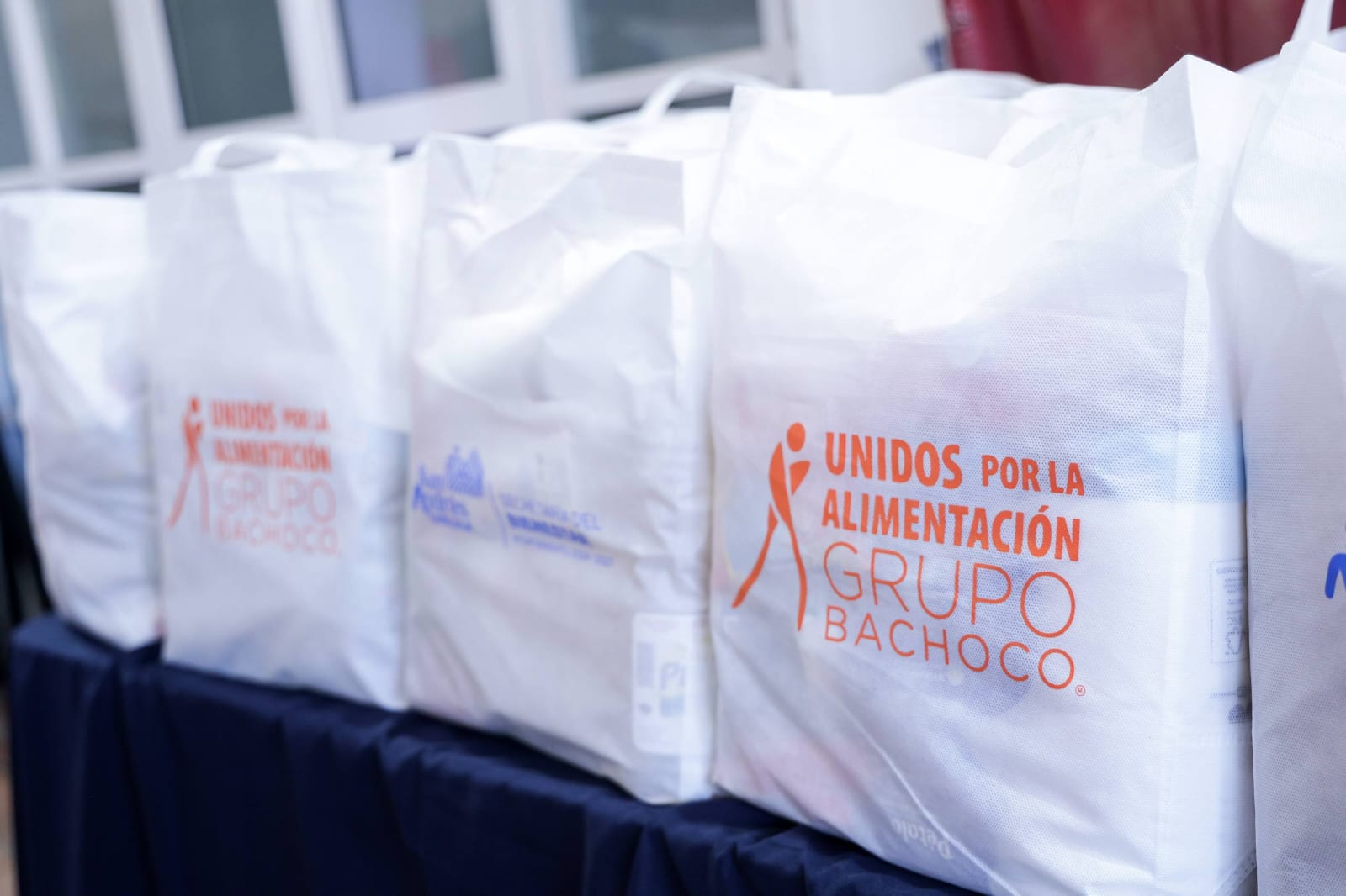 apoyo alimentario sach bachoco 4