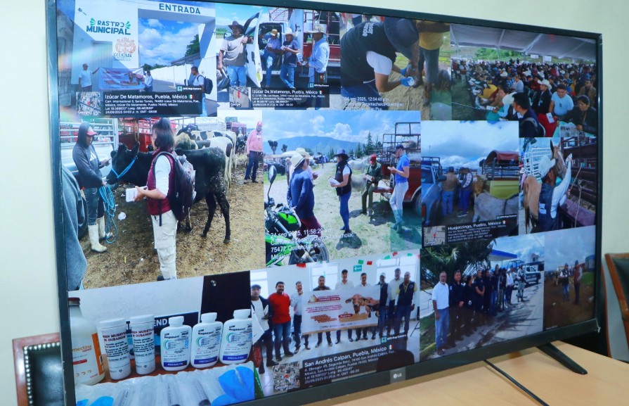 Medidas coordinadas ante el GBG en Puebla