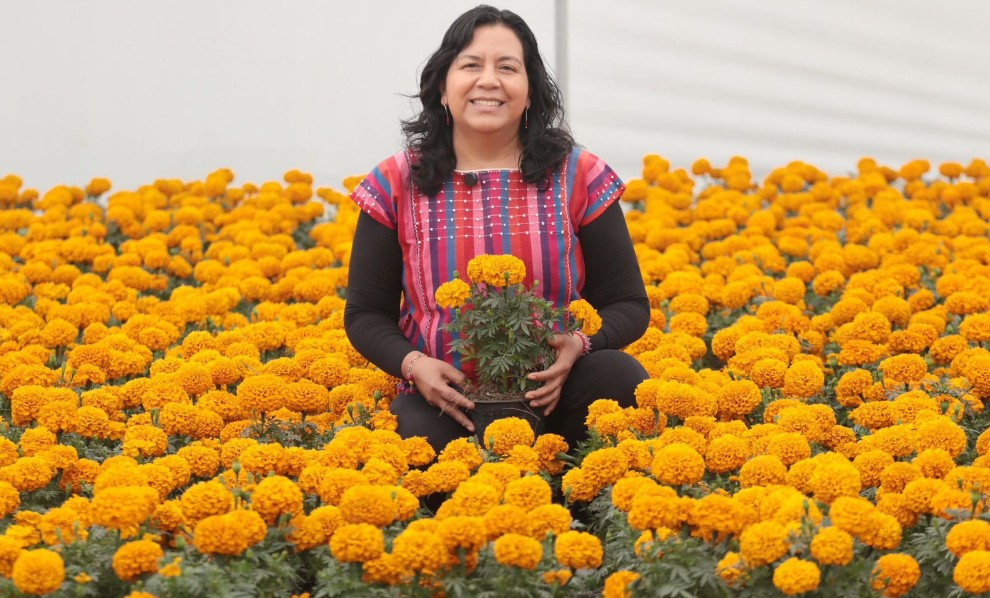 Puebla, líder nacional en flor de cempasúchil