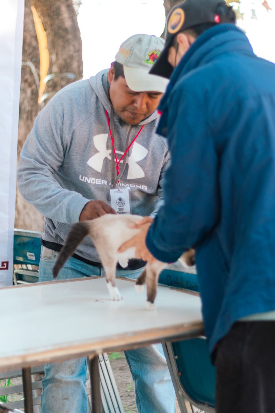 ecojornada mixquitla 5